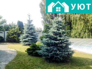 Моральная и физическая поддержка 24/7