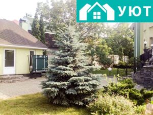 Моральная и физическая поддержка 24/7